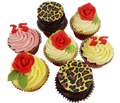 25th Birthday Cupcakes CB-CC005
