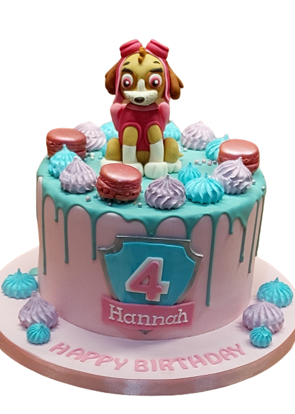 Paw Patrol Macarons & Meringue Topped Birthday Cake CB-NC611