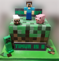 Mine Craft Birthday Cake CB-NC157