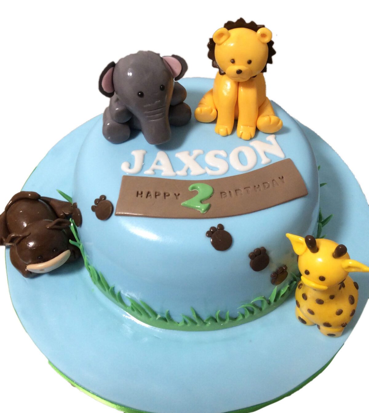 Animal Birthday Cake CB-NC054