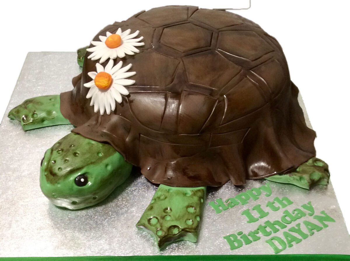 Tortoise Birthday Cake CB-NC038
