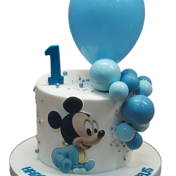 20230116_125312-removebg-preview